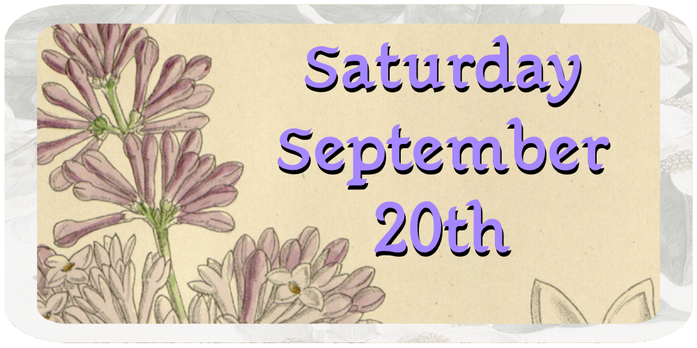 Sat Sept 20.png